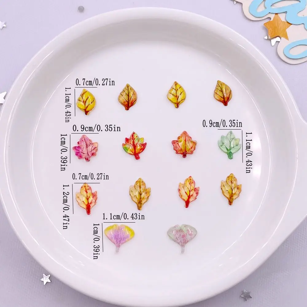 50 adet Karışık Reçine Mini Kr - Paradise Jewelry & Watches Dolphin Mall incelemesi ve fiyatı